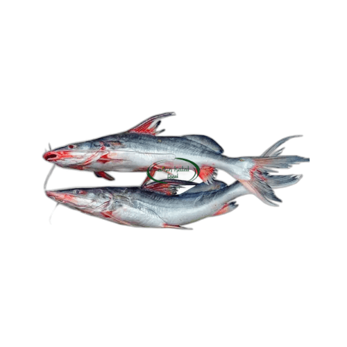 Ayer Fish 1kg image 0