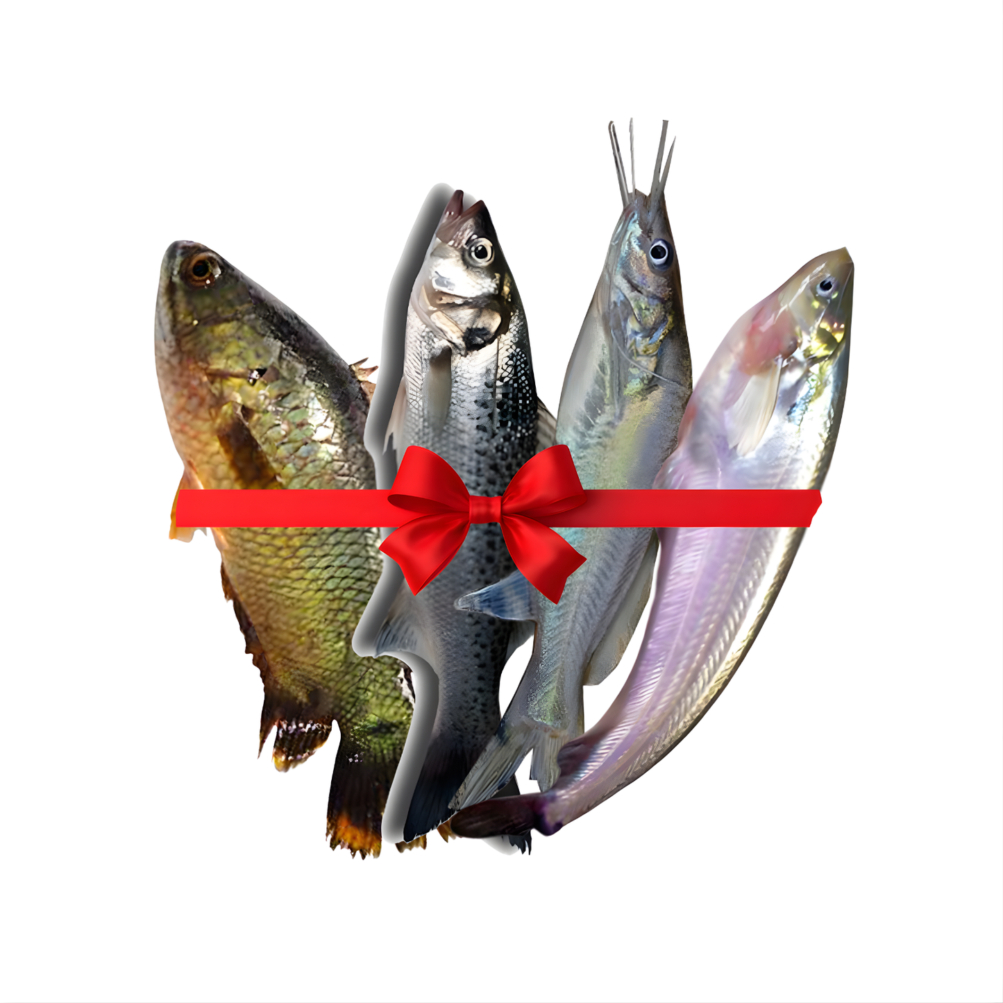 Fish Combo Offer 500g x 4 (Baila+Koi+Pabda+Golsha)