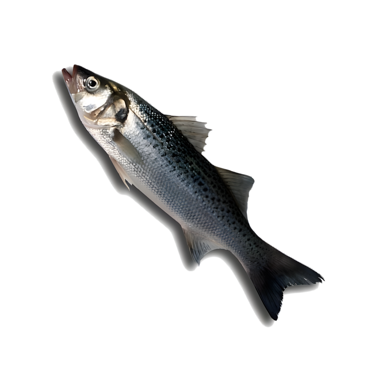 Baila Fish 1packet (200g)