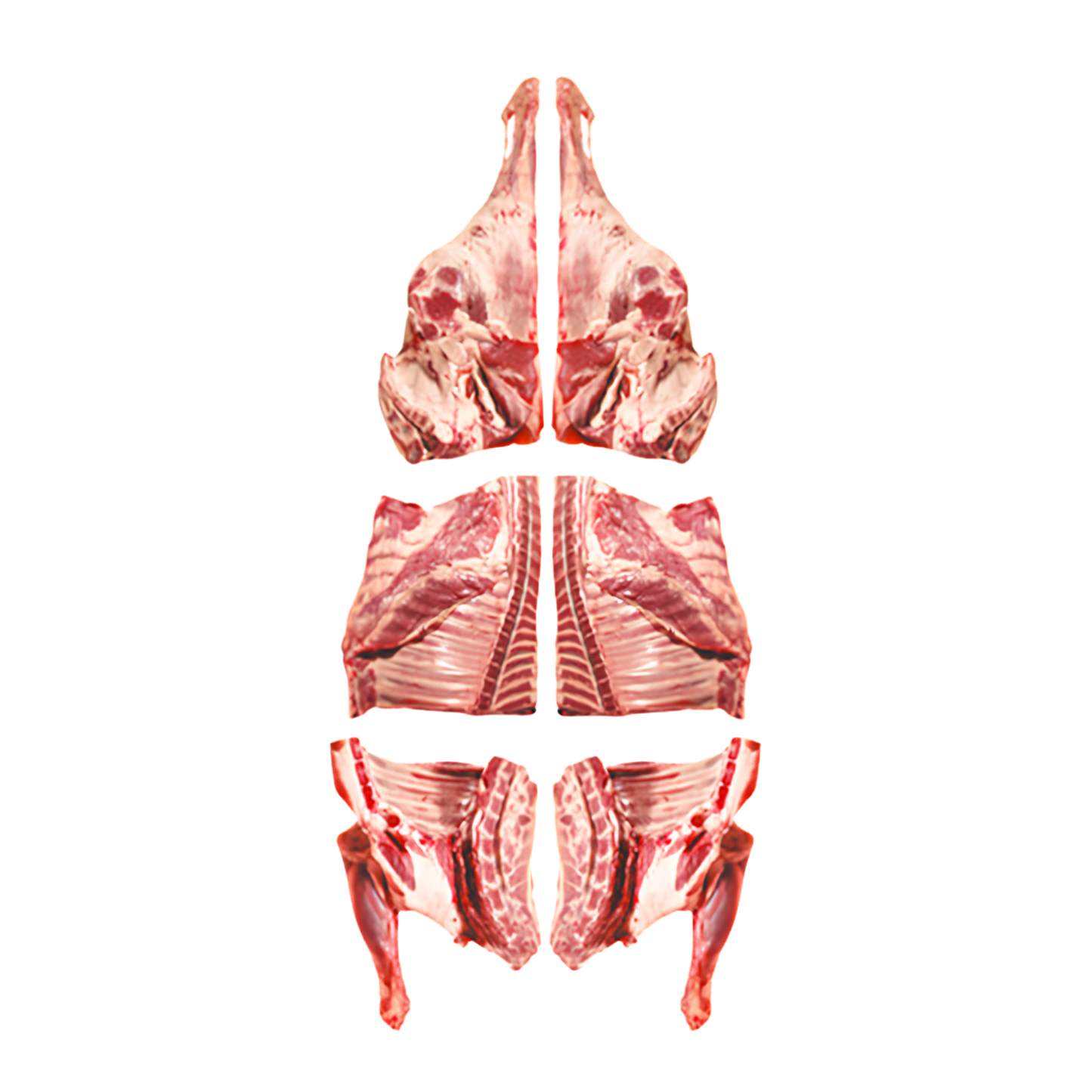 Mutton Carcass 17kg-18kg