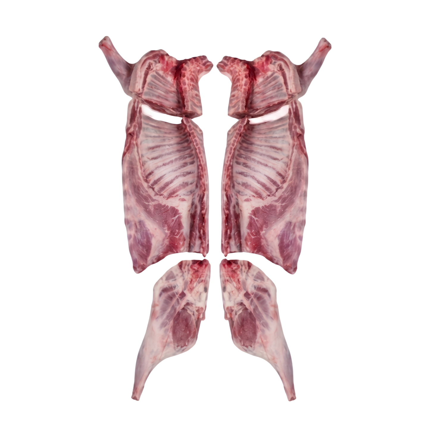 Lamb Carcass 16kg-17kg