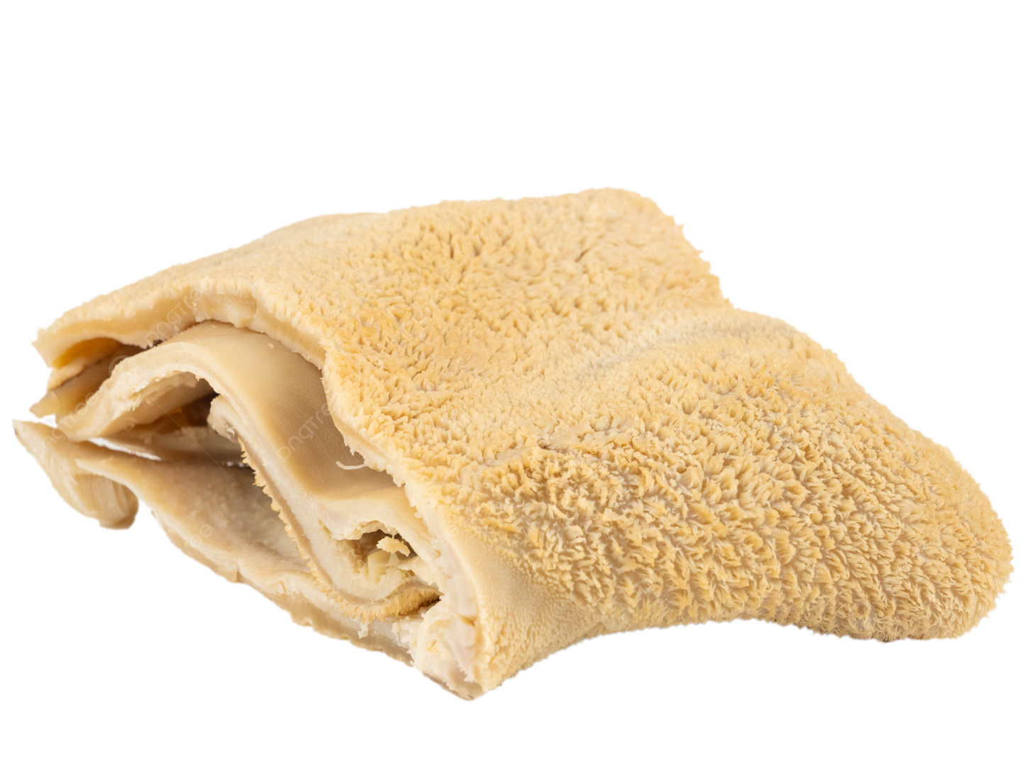 マトントライプ(ブリ)1kg