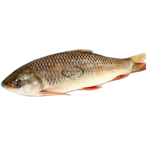 Rahu 1kg image 0