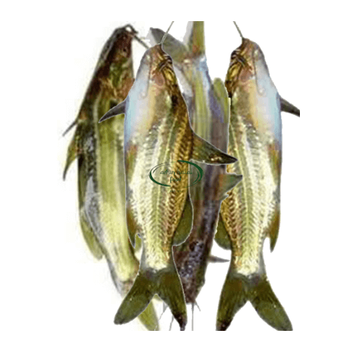 Deshi Tengra 1packet image 0