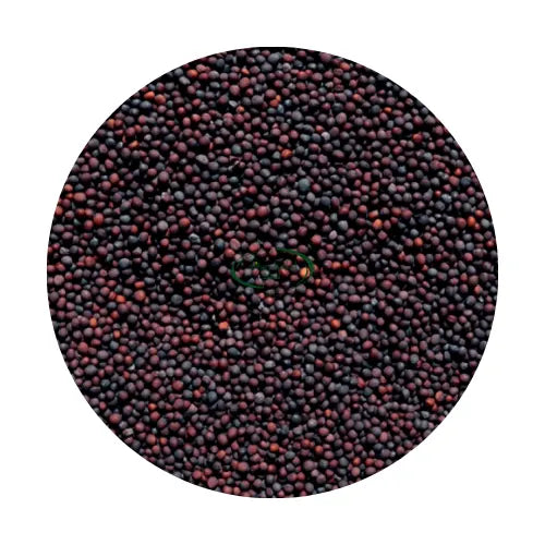 Mustard (Small) 1packet image 0