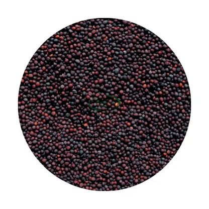 Mustard (Small) 1packet image 0