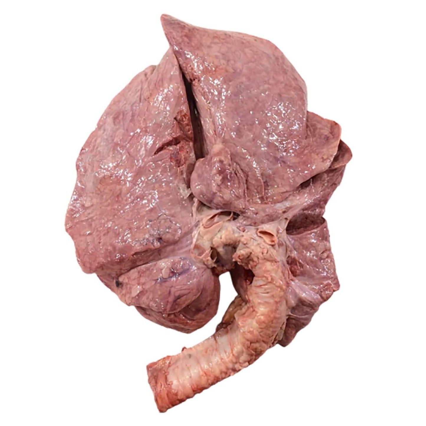 Beef Lungs 1kg