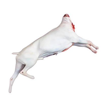 Whole Goat with Skin (12kg-17kg)
