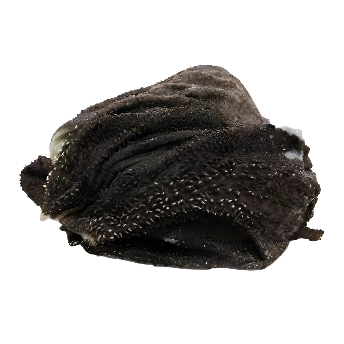 牛黒トライプ（未洗浄）1kg