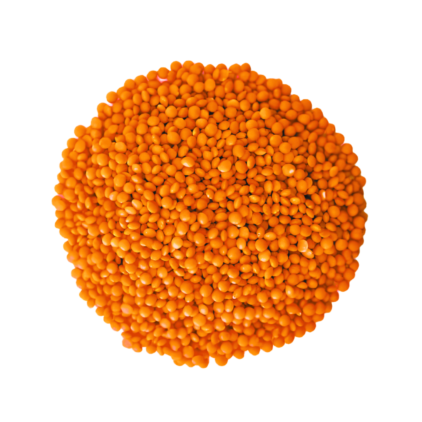 Masoor Dal 3kg