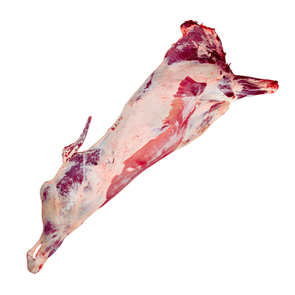Whole Cow 150kg-300kg