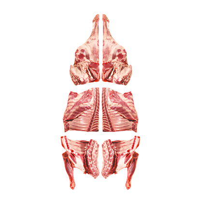 Mutton Carcass 17kg-18kg