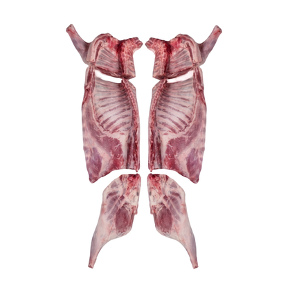 Lamb Carcass 16kg-17kg