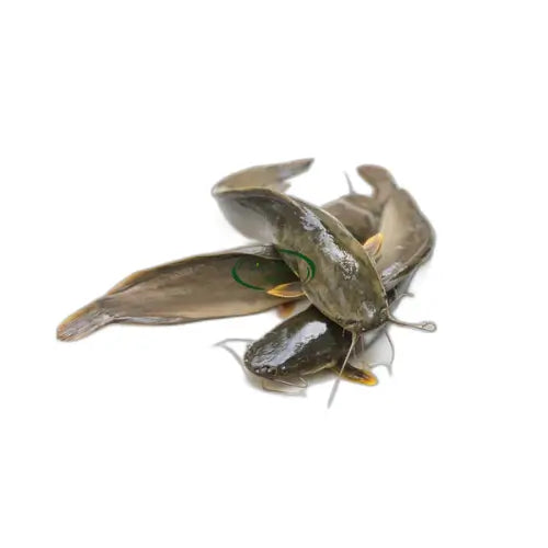 Magur 1packet image 0