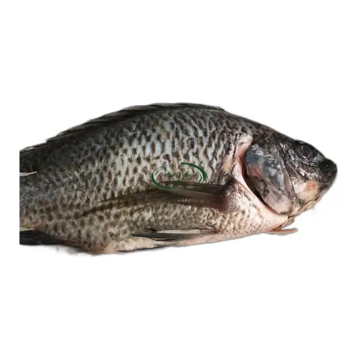 Telapia 1kg image 0