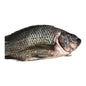 Telapia 1kg image 0