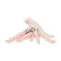 Chicken Feet 1Kg image 0