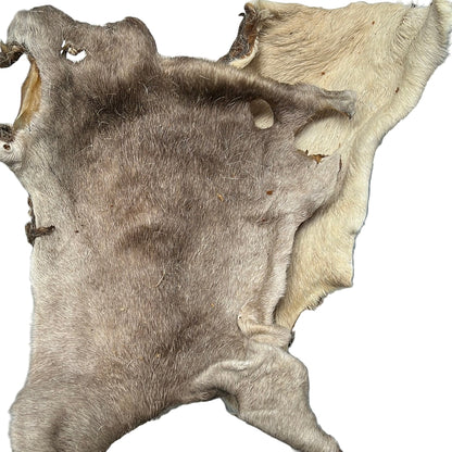 Beef Skin Uncleaned (Small Cut) 1Kg